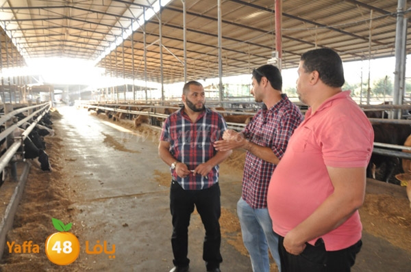 3ojojl shamal (6).JPG